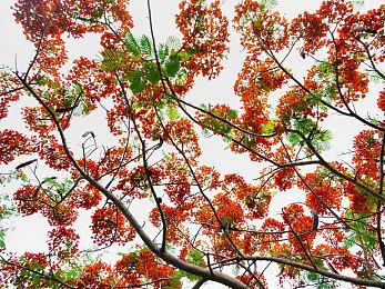 《博德之门3》7号热修复补丁上线 修复一些崩溃问题